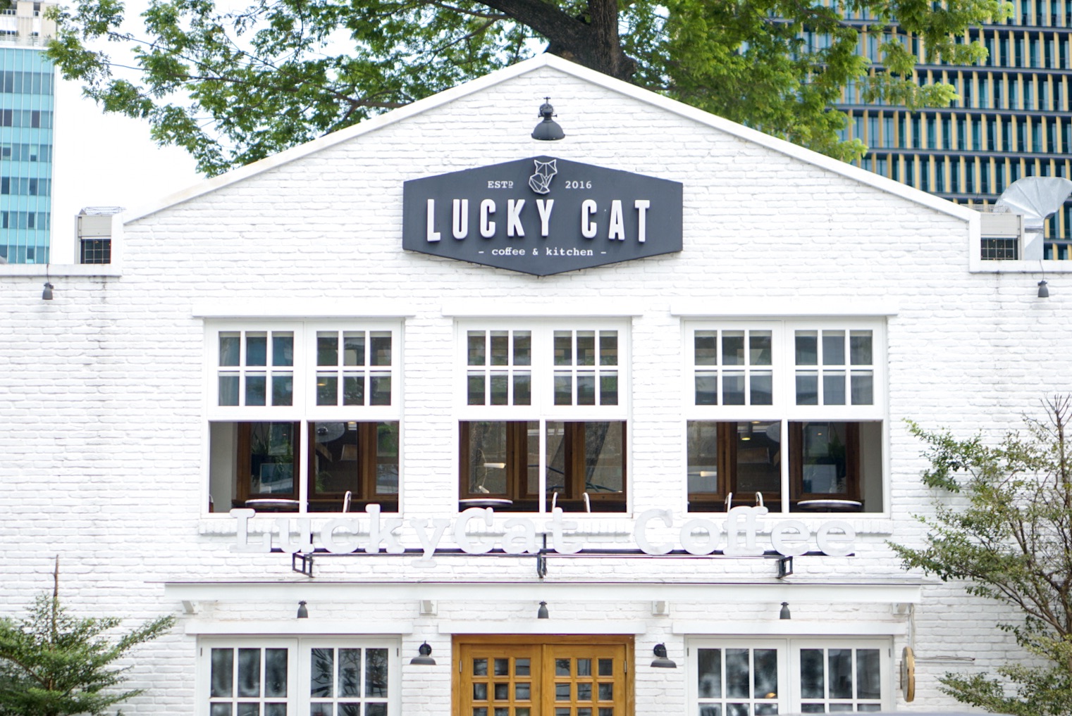 Lucky Cat Coffee Cafe (Review) | Jakarta Trip | Laura Angelia's