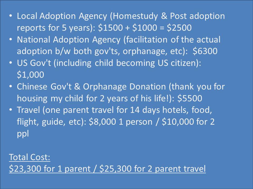 Lillie Family Paying for Int'l Adoption how we are doing it {hush hush}