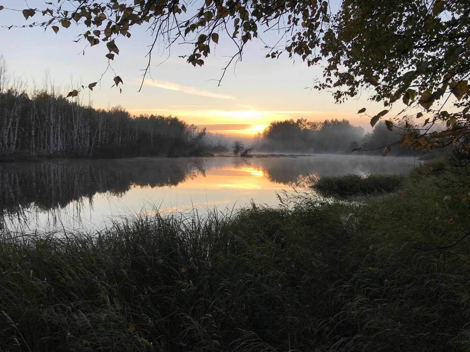 Creamer's Field Migration Station About CFMS