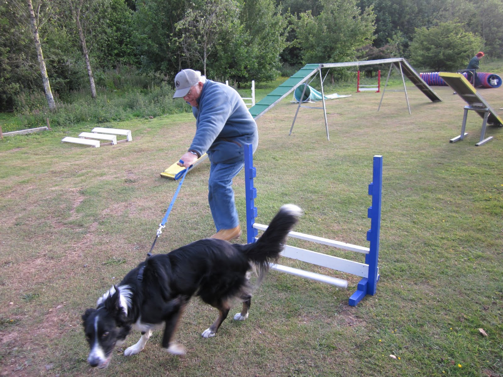 Prince Rock Dog Training & Agility Club, Plymouth Agility at Gables