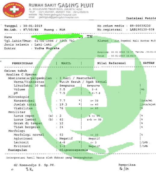 Oligozoospermia, Leukosit Normal Oligozoospermia, Leukosit Normal