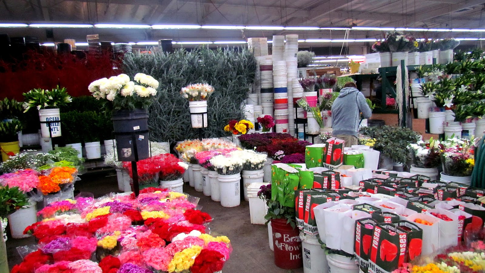 Nyc Wholesale Flower Market Flower Choices