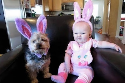 Ocurrencias divertidas: bebé y perrito con orejas de conejo.