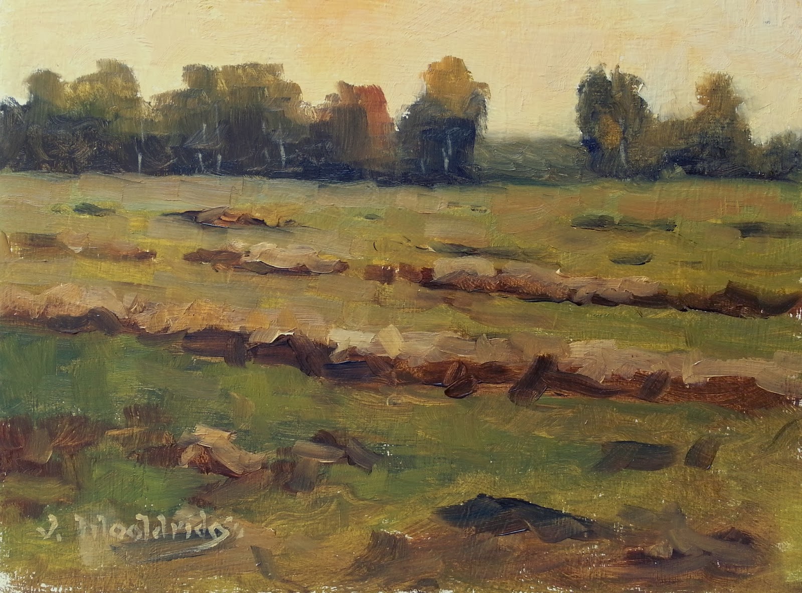 Painting Arkansas Rice Field at Dawn, Desha County