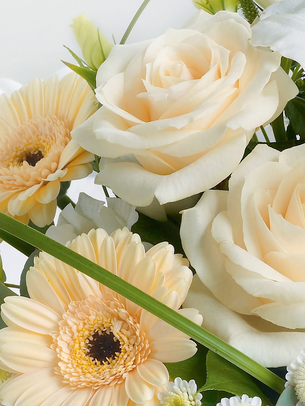 Everything Cream Flowers