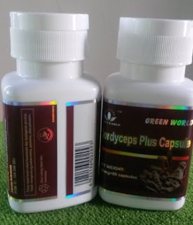 Cordyceps Plus Capsule Green World