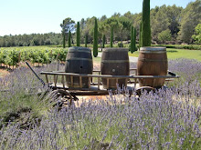 Vakre Château de Berne i Provence.