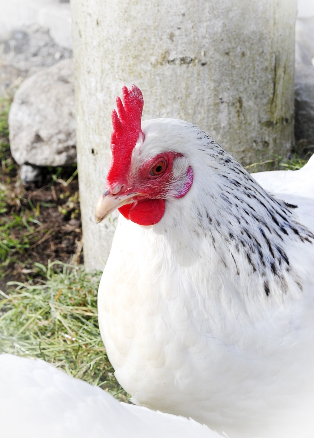 Deko Und Diy Blog Kreative Deko Ideen Fur Ein Schones Zuhause