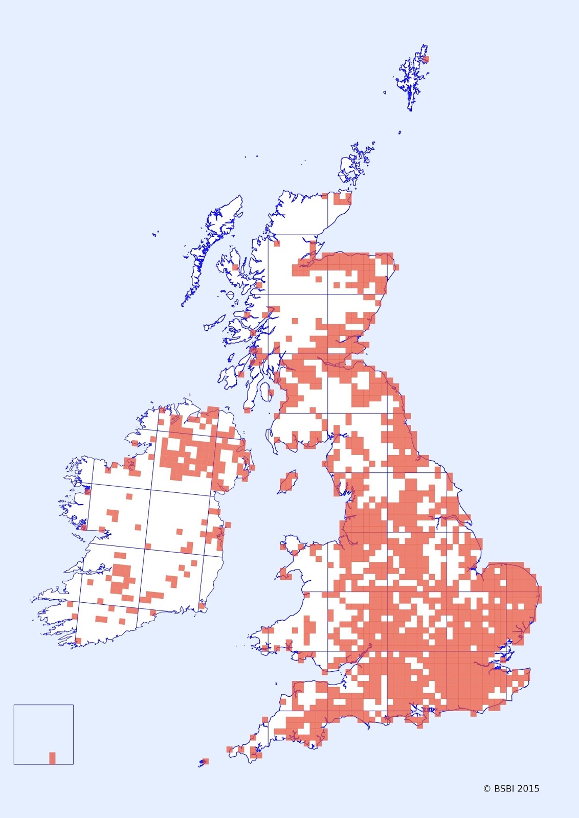 BSBI News & Views: Giant Hogweed in the news