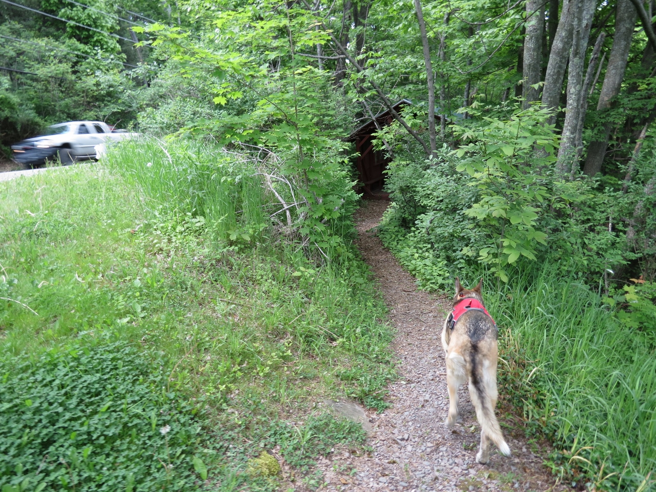 Gone Hikin' Woodbourne Forest and Wildlife Preserve, PA