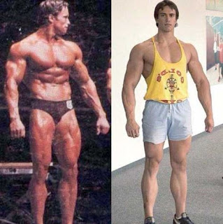 Jovem tem a mesma aparencia que Arnold Schwarzenegger