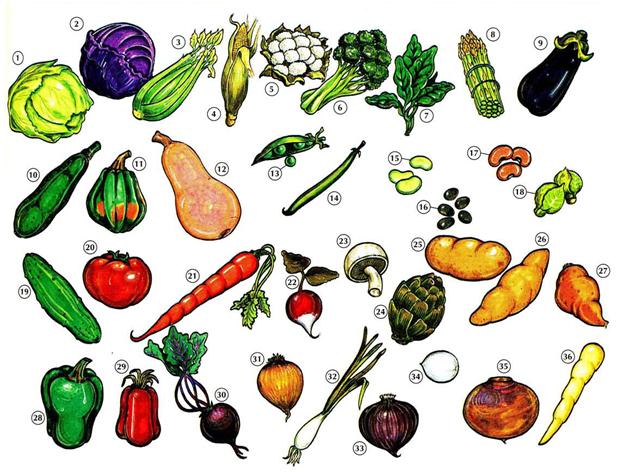 Huruf nama s sayuran Daftar sayur