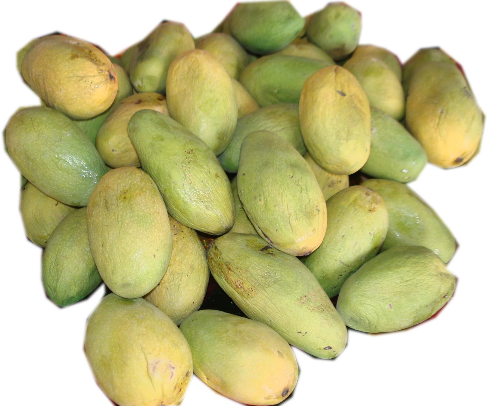 INDIAN MANGO VARIETIES