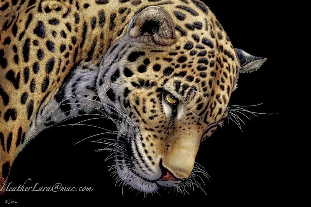 Design Stack A Blog About Art Design And Architecture Hyper