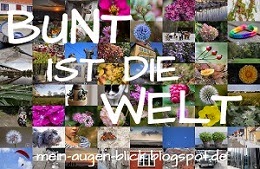 http://mein-augen-blick.blogspot.de/