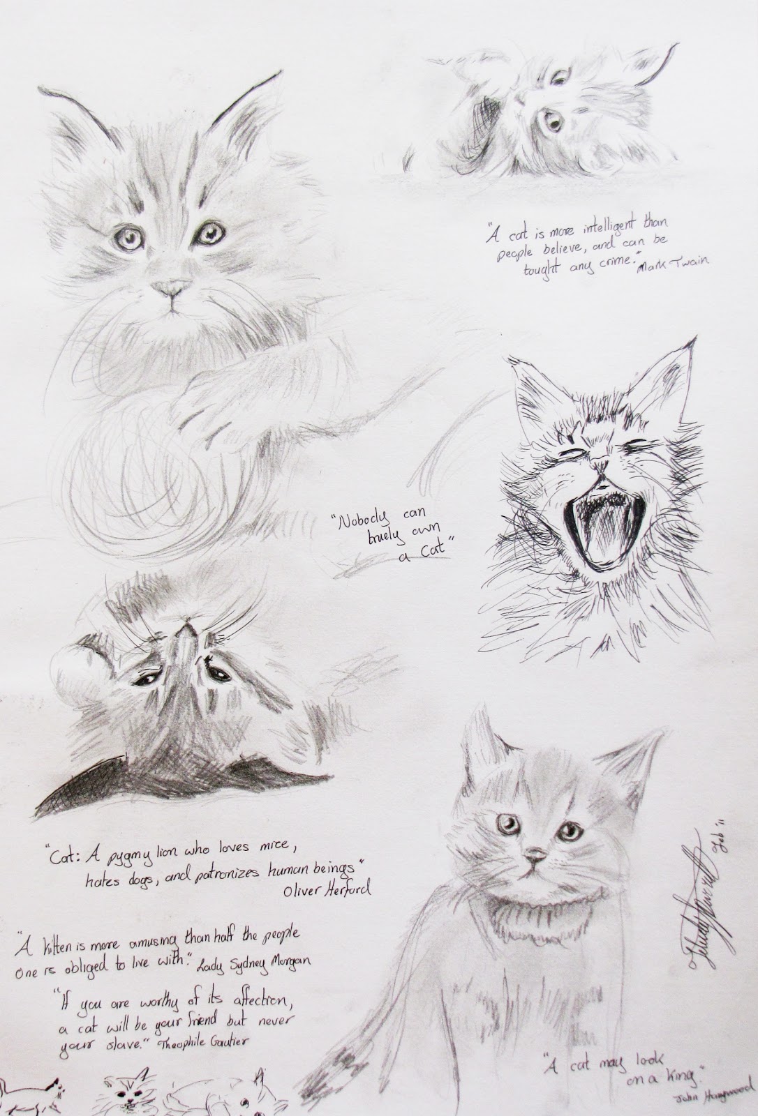 Felicity Deverell: Sketches of Kittens