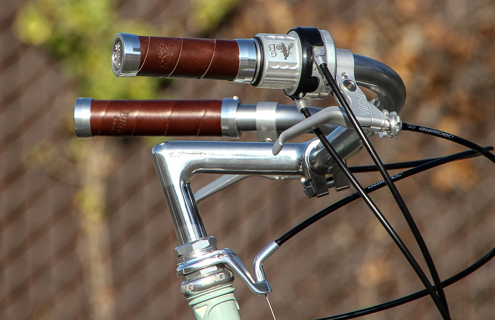 cycle monkey rohloff
