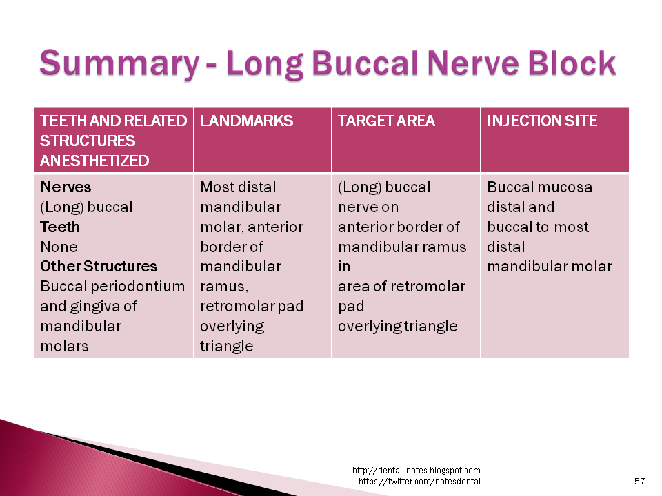 Dental Notes Long Buccal Nerve Block NOTES