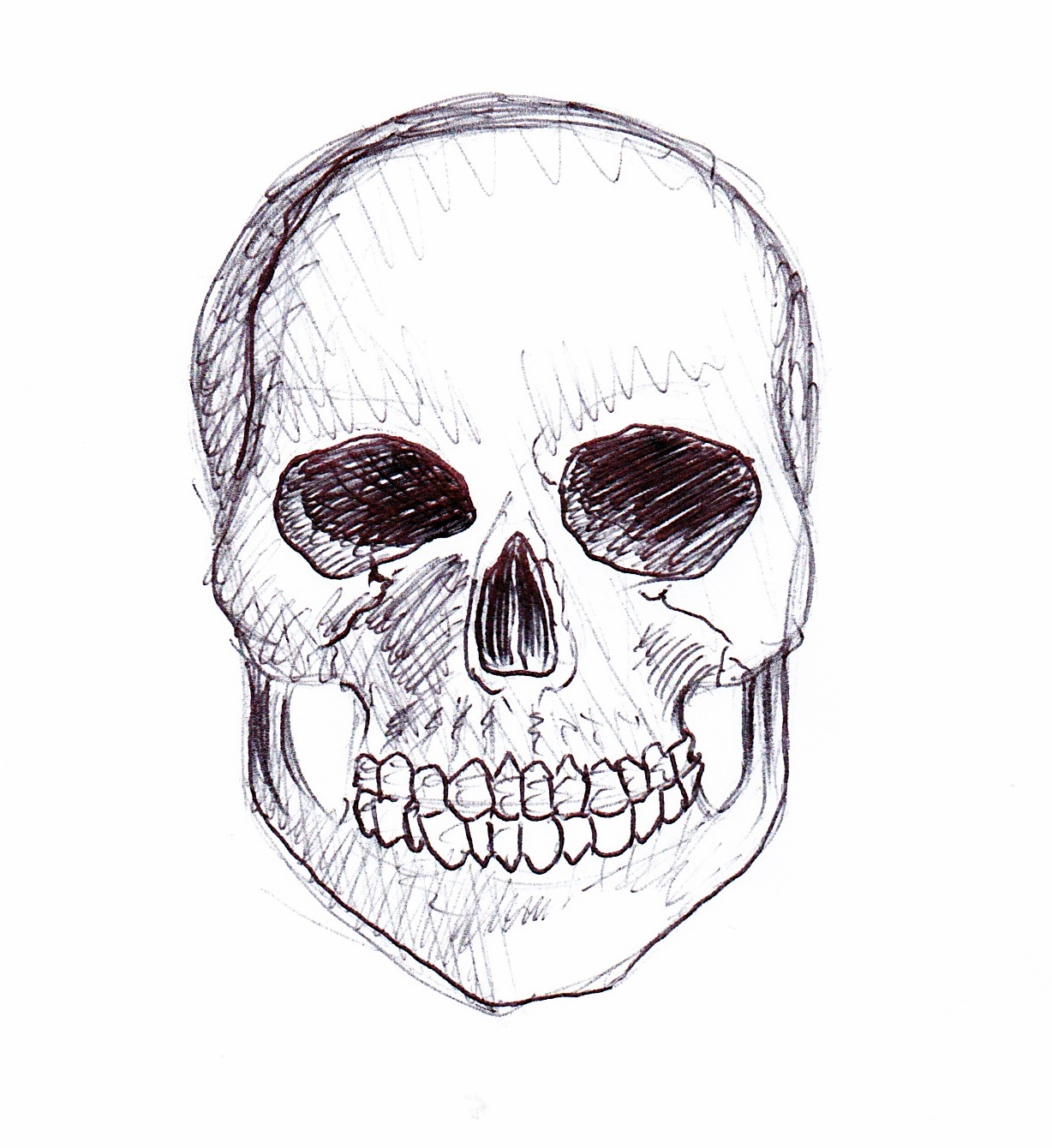 D's Sketch Blog:  028  anatomy of 'your face'
