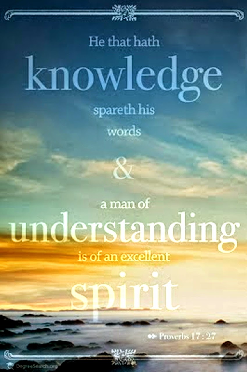 Red Pill Diaries: Proverbs 17 (KJV)