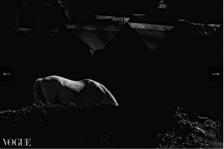 Vogue Italia White Horse Moonlight Serenade by Avianquest a.k.a. Peter C. Florendo