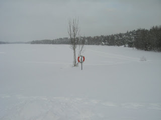 Promenad%2Btill%2Bsj%25C3%25B6n%2B%25287%2529 - Långpromenad till sjön