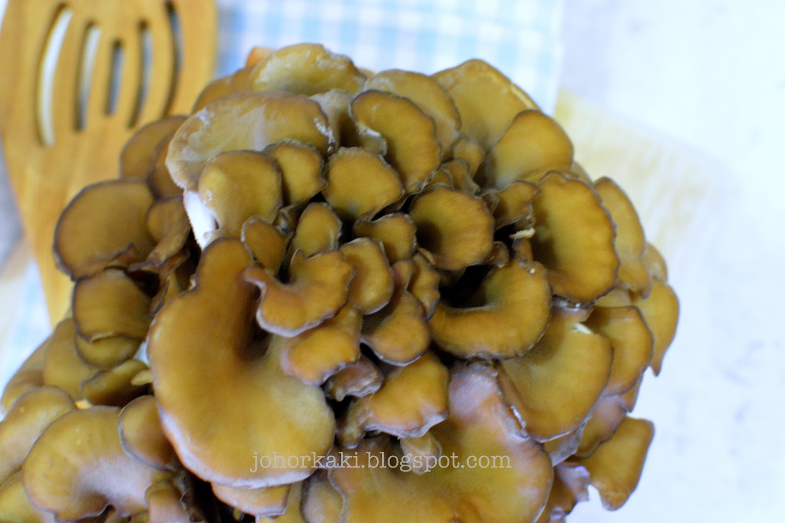Hokto Maitake Mushrooms Now Everyone in Singapore can Eat like a