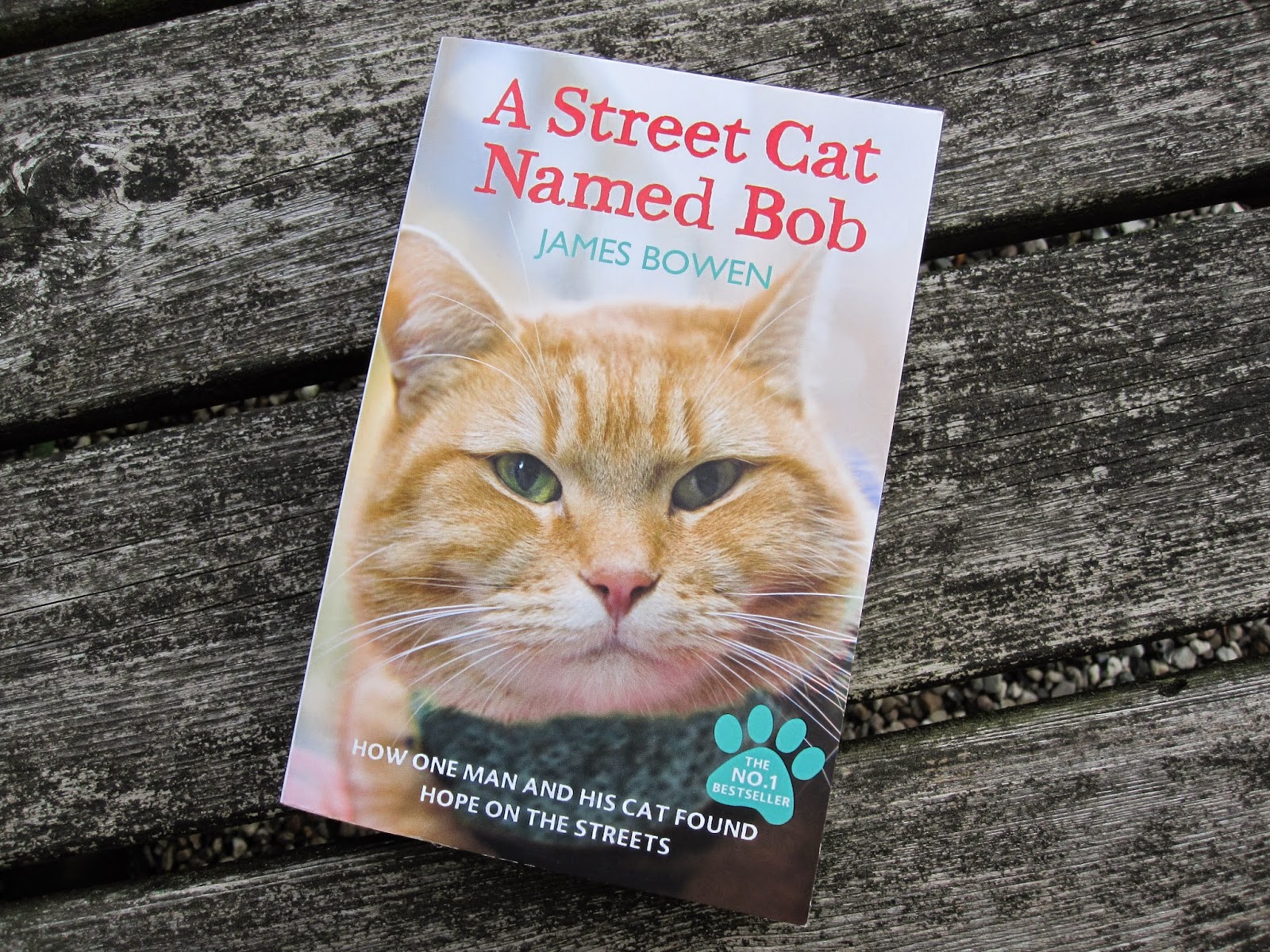 Bøgernes Univers: A Street Cat Named Bob, af James Bowen