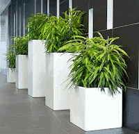 Arrosage plantes artificielles l'aéroport Paris