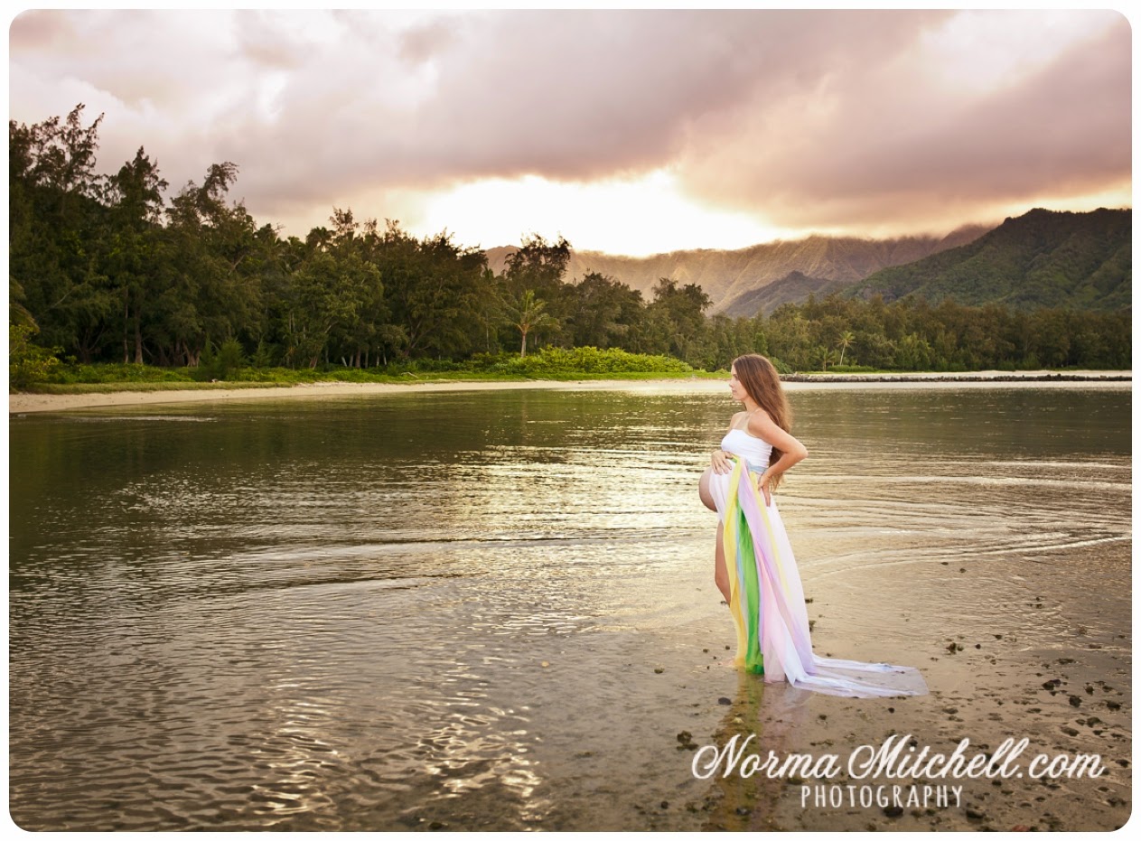 Norma Mitchell Photography