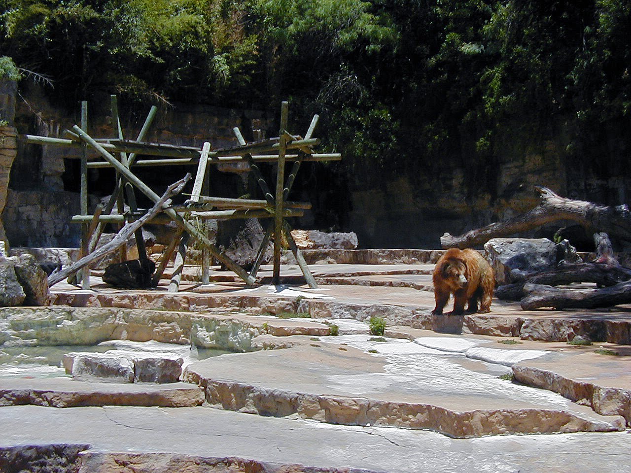 The Circus "NO SPIN ZONE" San Antonio Zoo Bear Grotto's