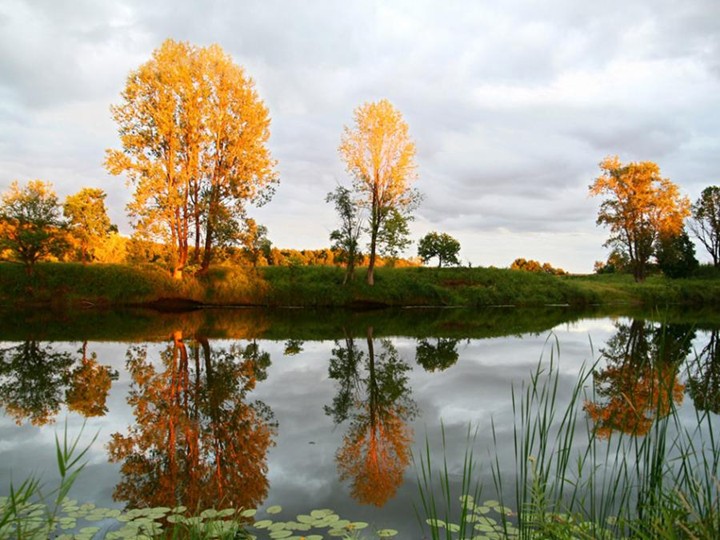 Best WallPapers: Reflexion Wallpaper