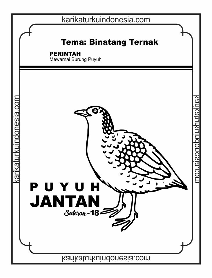 Karikaturku Indonesia Hewan Ternak Beternak Puyuh