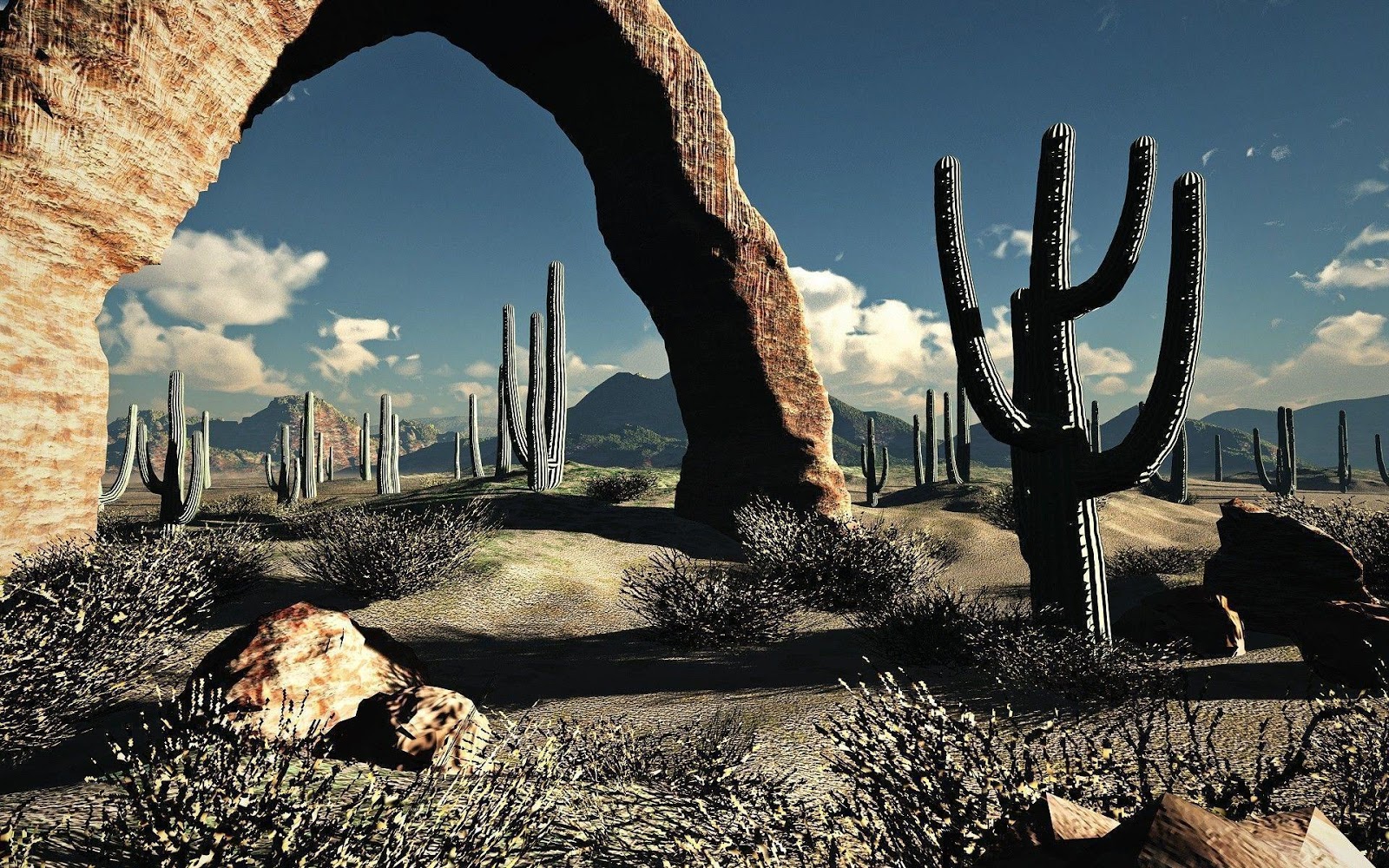 48 Cactus Wallpapers Magone 16