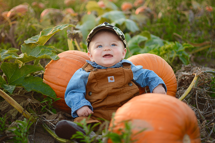 Fall, Pumpkin Patch | My Darling Days Fall, Pumpkin Patch | My Darling Days
