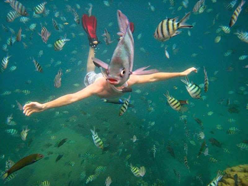 30 Pictures Taken At The Right Moment - The perfect “fish face” for a selfie!
