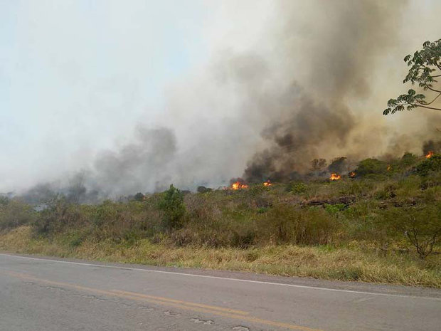 Incêndio acontece às margens da BR-242, na área da APA Marimbus/Araquara e do Parque Nacional (Foto: Tayne Luz Casca/Jornal da Chapada)