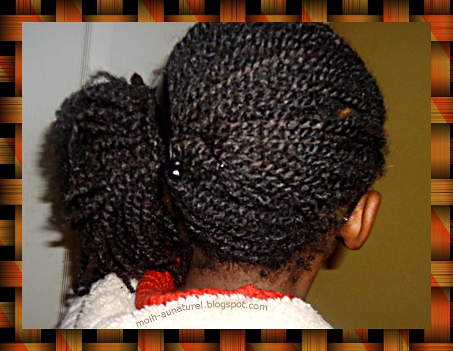 MyObsessionIsHair *** au naturel *** Idées coiffures Twist