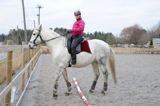 working equitation, Riitta reissaa, Katarina Albrecht