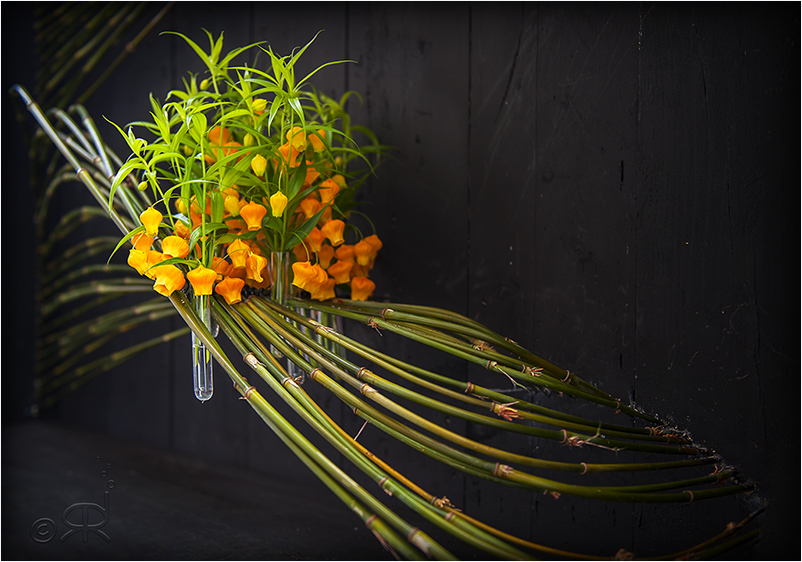 Rudi's fotografie Hoogstraten Bloemen en Groenten