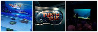 turtle talk with crush