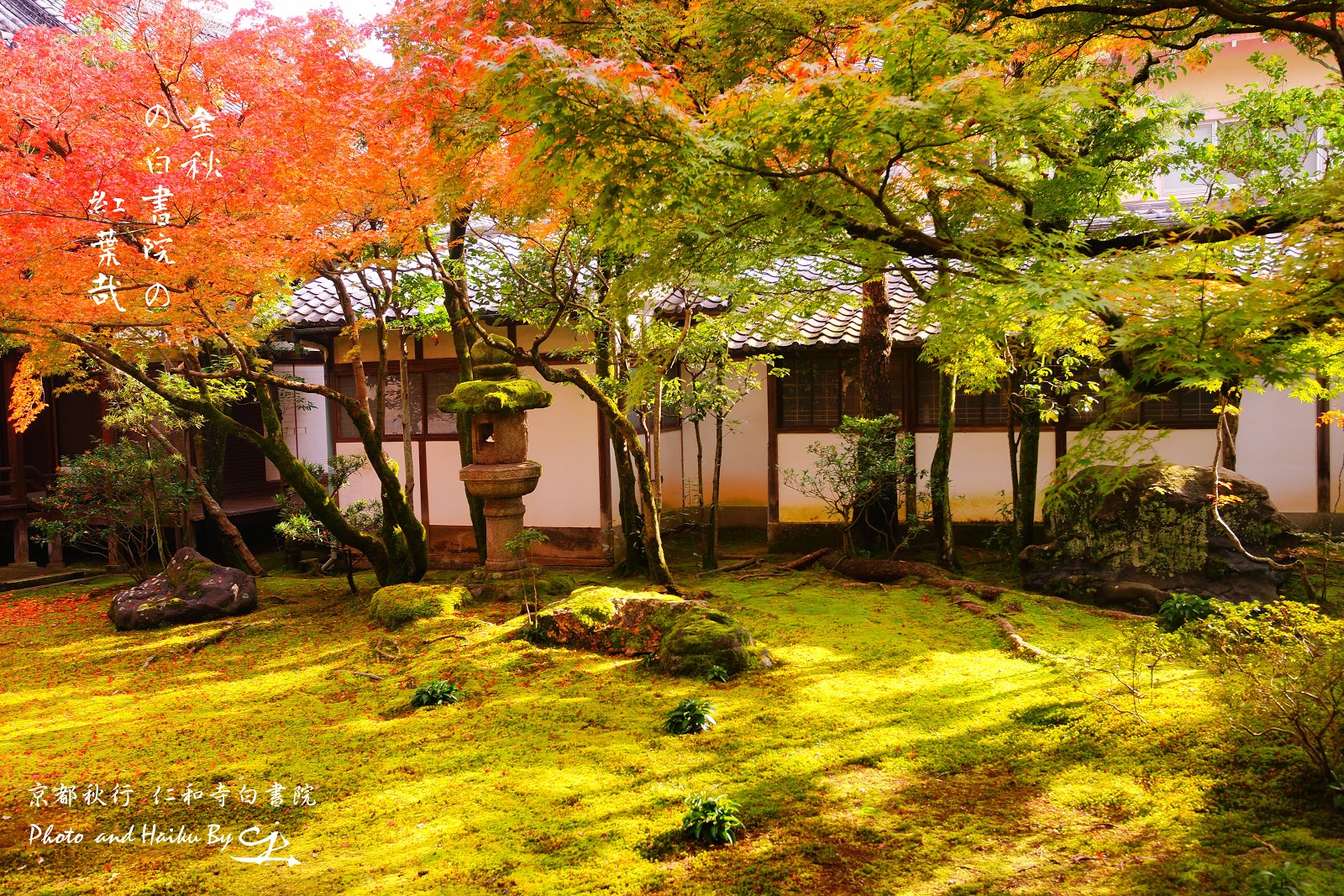 我之所攝 心之所見 滌癒人心 意味深遠 請跟隨我進入這攝影與詩歌交織成的視界 並帶回滿滿的感動 京都秋行錦秋の仁和寺ninnaji Buddhist Temple Maple In Early Autumn On November Kyoto Japan