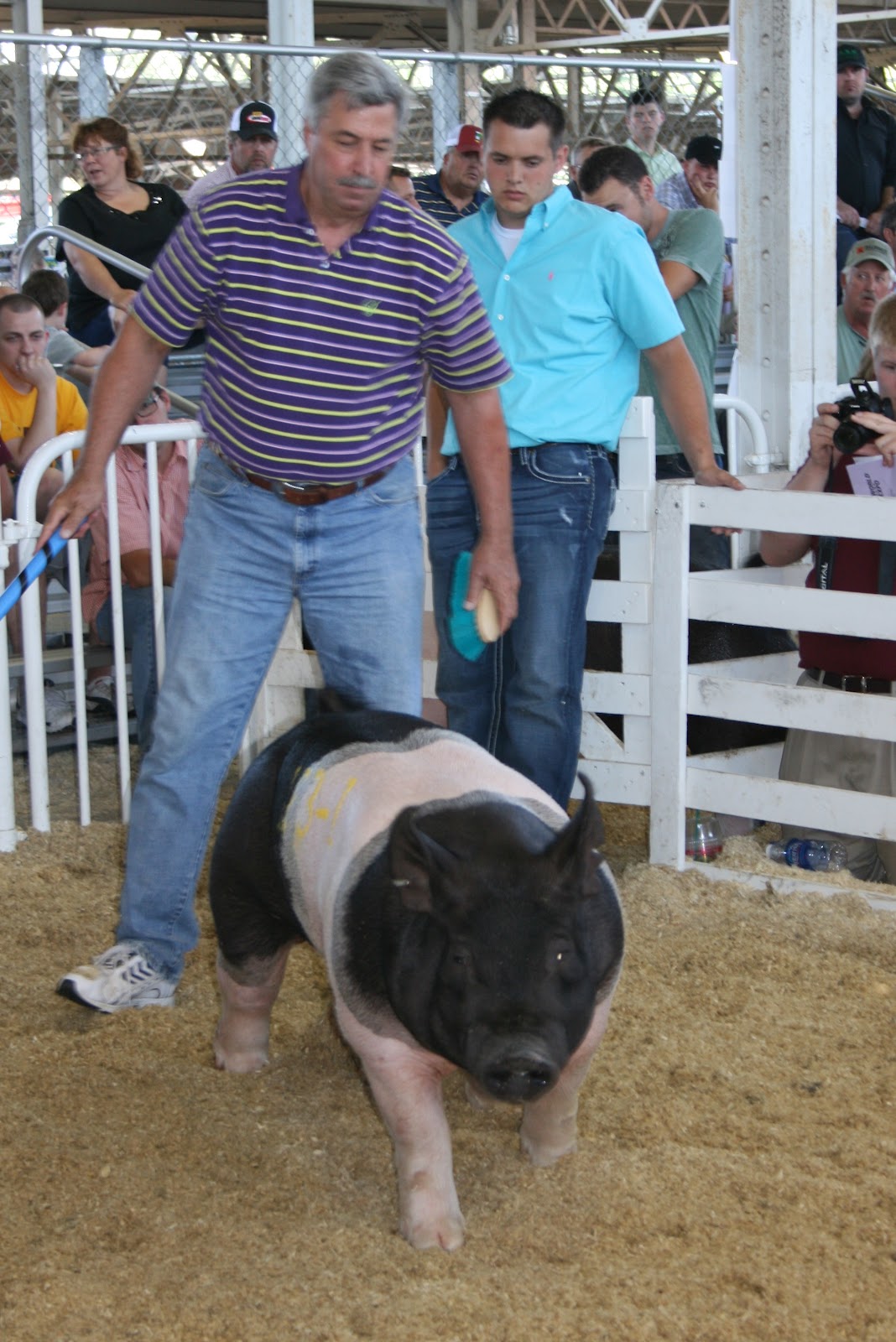NSR Show & Sale Results World Pork Expo Crossbred Sale Results