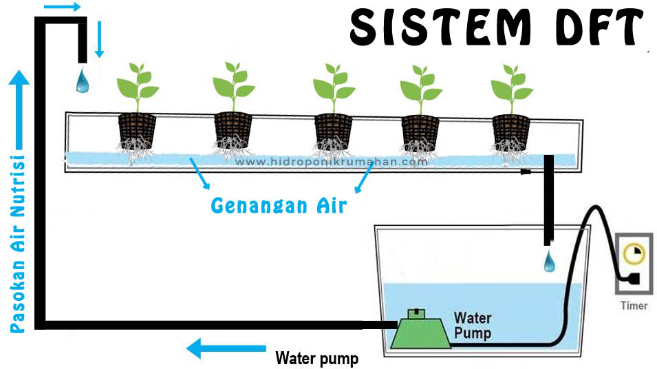 Cara Menghemat Listrik pada Sistem Hidroponik Sederhana di Rumah Cara Menghemat Listrik pada Sistem Hidroponik Sederhana di Rumah