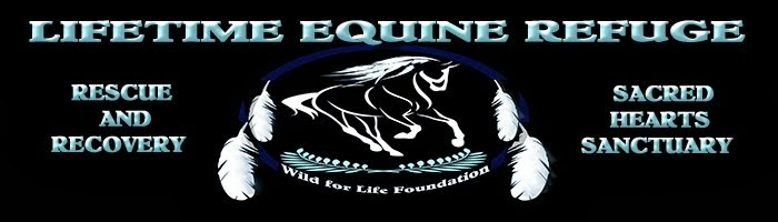 Lifetime Equine Refuge