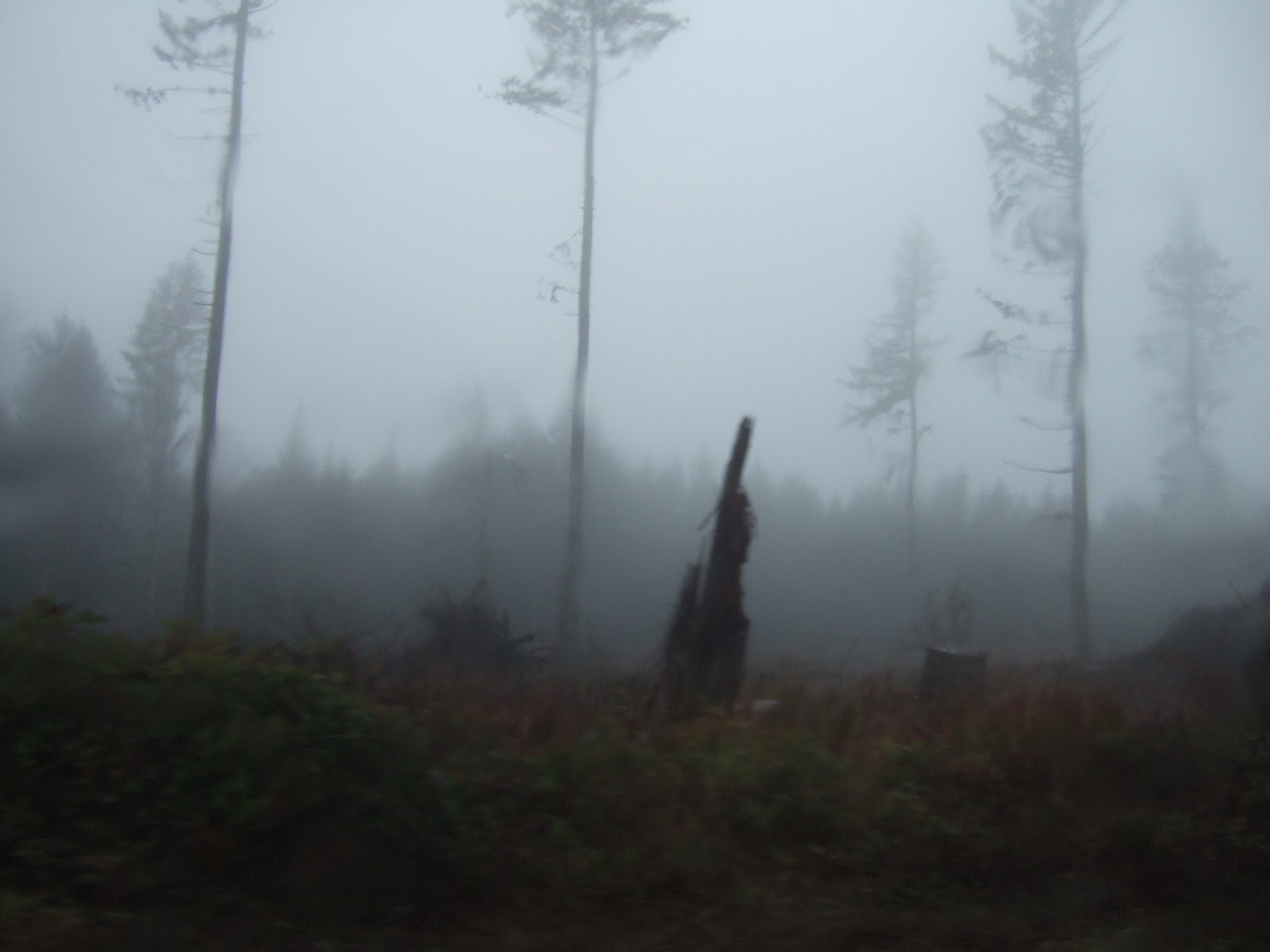 Reading the Washington Landscape Skokomish River Washington State