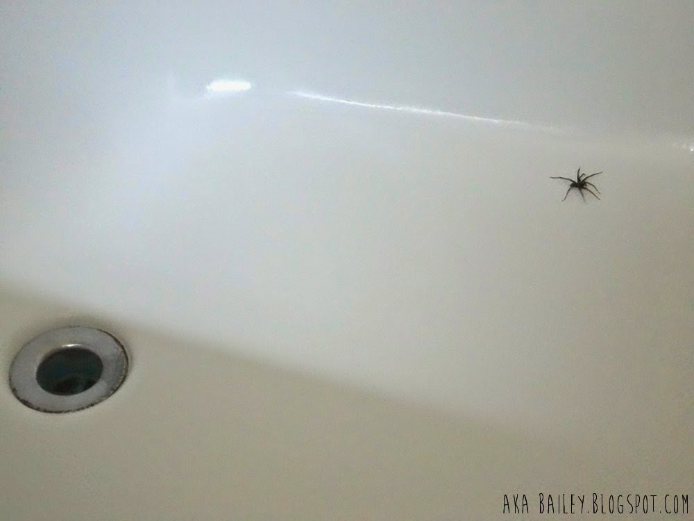 Huge g.d. spider in my bathtub