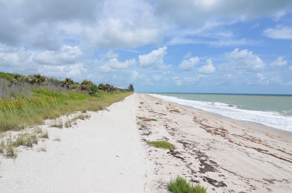 Prescott Realtor, Satellite Beach Real Estate, Homes for Sale