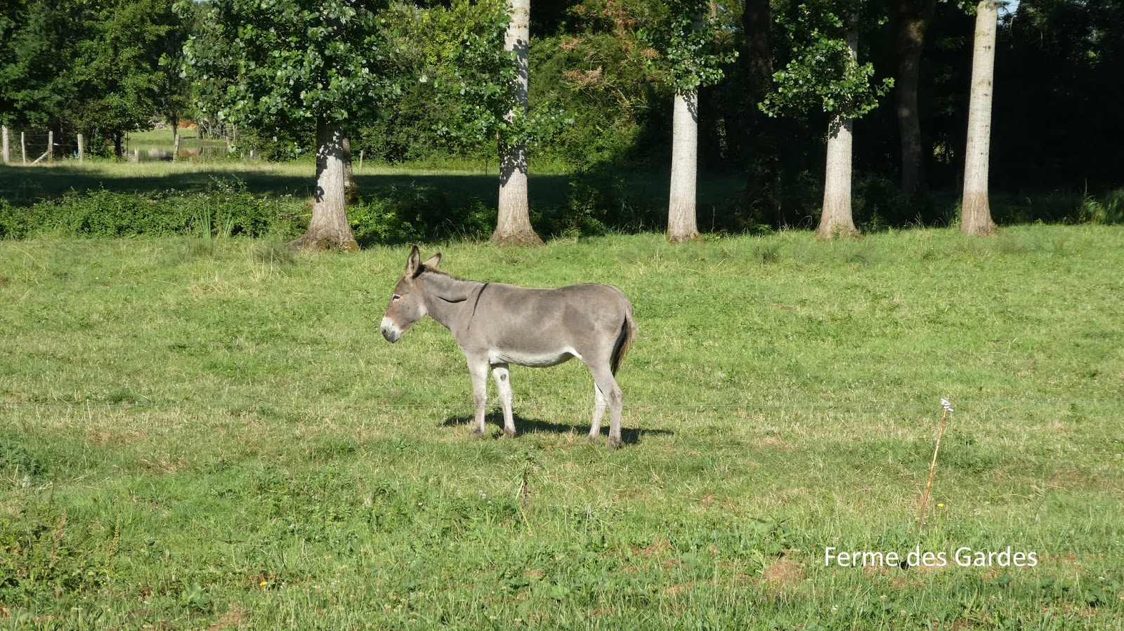 Club de randonnées pédestres Saint Antoinaises 29/06/2018 Etangs St Antoine de Breuilh