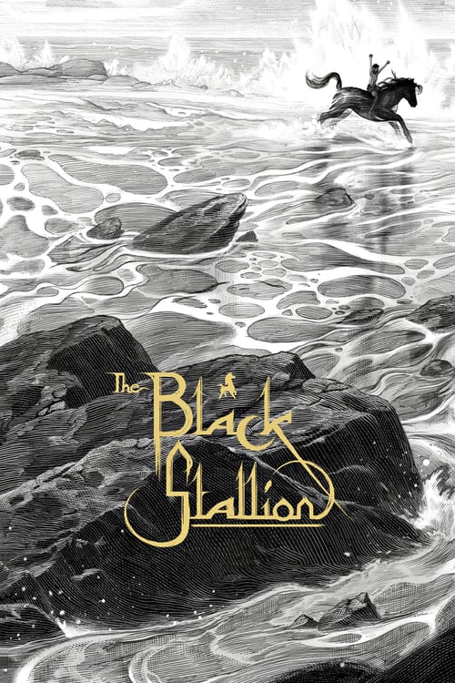Download The Black Stallion 1979 Full Movie Online Free